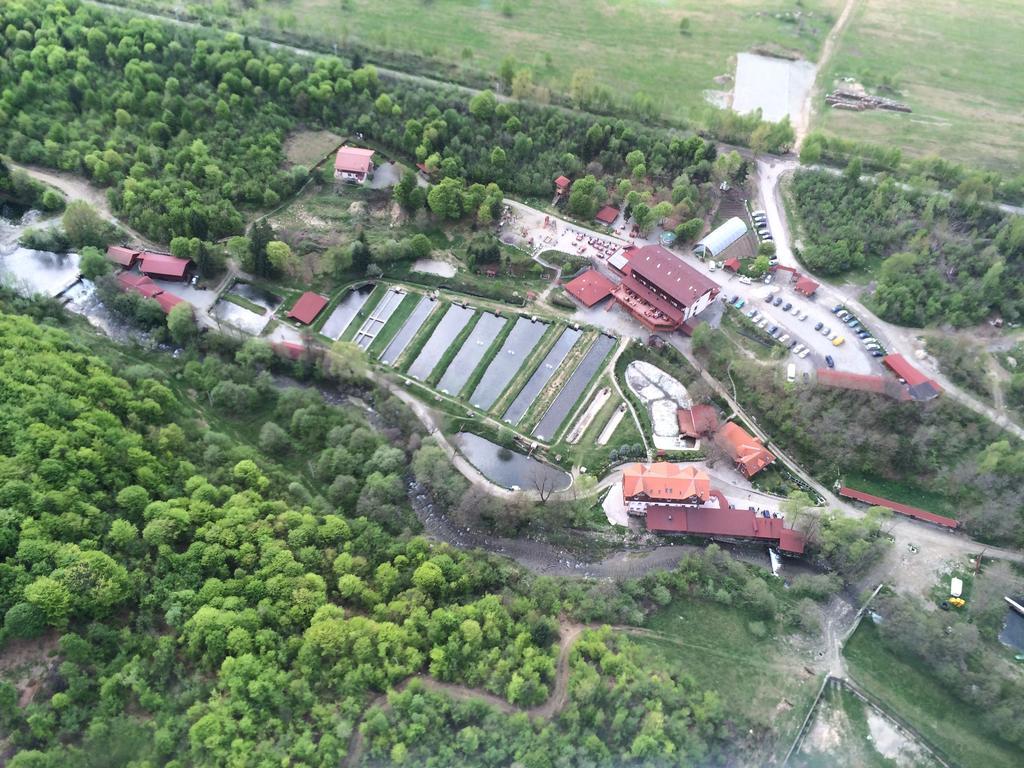 Complex Pastravaria Albota Arpaşu de Sus Exteriör bild